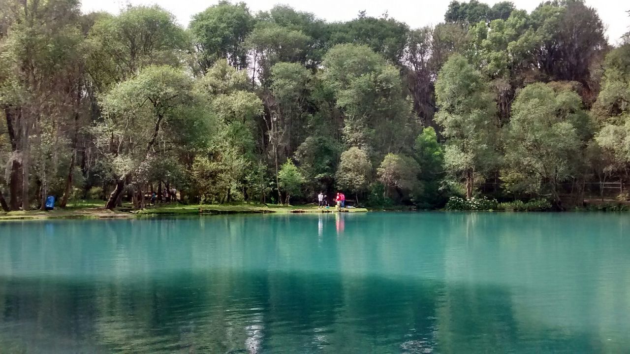 tree, water, leisure activity, lifestyles, men, waterfront, lake, tranquil scene, tranquility, beauty in nature, nature, scenics, growth, vacations, person, reflection, day