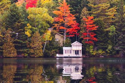 House by lake and trees during autumn