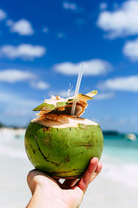 Cropped image of person holding apple against sea