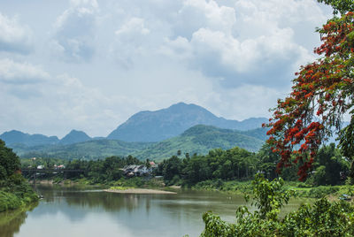 Scenic view of lake by trees against sky