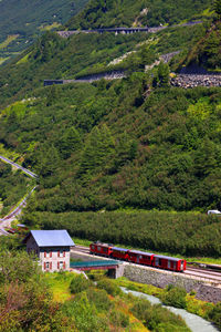 High angle view of trees and houses