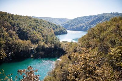 High angle view of lake amidst trees in forest