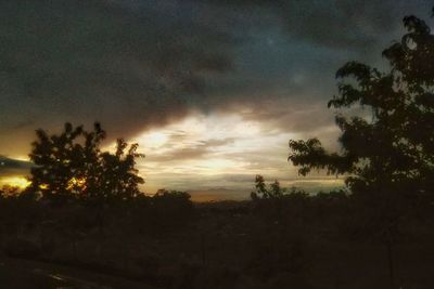 Silhouette trees against sky during sunset