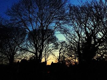 Low angle view of silhouette trees against sky