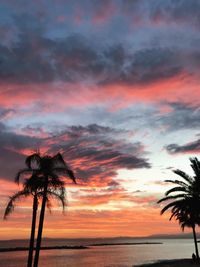 Silhouette palm tree on beach against sky during sunset