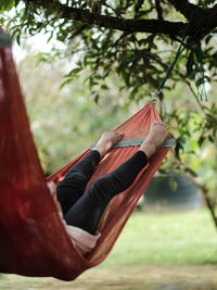 Low angle view of woman exercising on tree