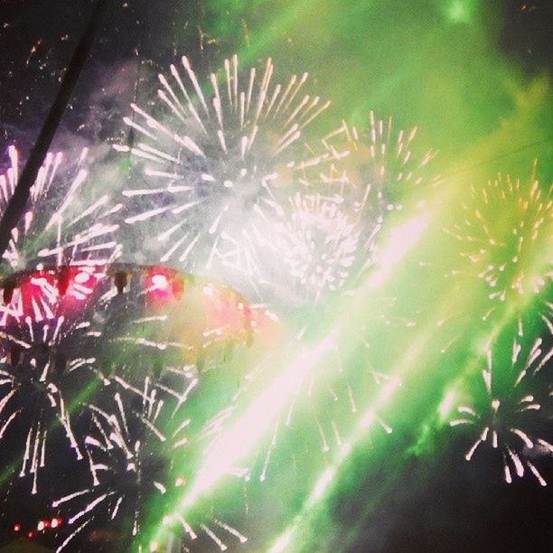 celebration, growth, motion, low angle view, close-up, long exposure, blurred motion, nature, fragility, outdoors, firework display, plant, no people, beauty in nature, night, flower, exploding, spider web, illuminated, focus on foreground