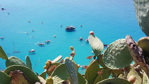 High angle view of birds perching on sea