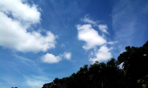 Low angle view of trees against sky