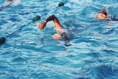 Men swimming in pool during competition