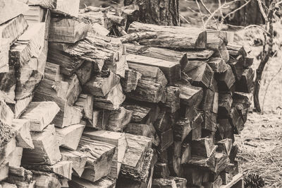 Stack of firewood