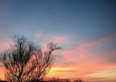 Low angle view of silhouette bare tree against romantic sky