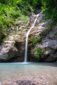 Scenic view of waterfall in forest