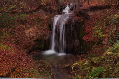 Waterfall in forest