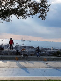 People on beach against sky