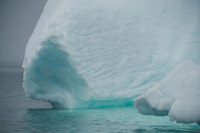 Blue icebergs floating on the disko bay