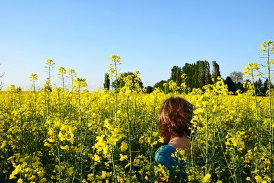 Rear view of woman on rape field against sky