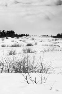 Scenic view of snow covered field against sky