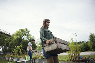 Mid adult woman carrying wooden crate while man planting in background at urban garden