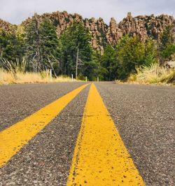 Surface level of road by trees