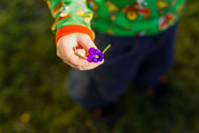 Close-up of hand holding flower