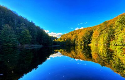 Scenic view of lake by trees against blue sky