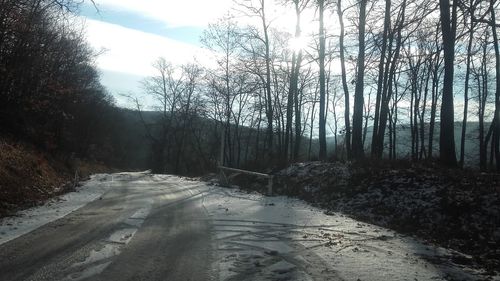 Road amidst bare trees in forest