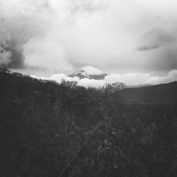 Bird by mountain against sky