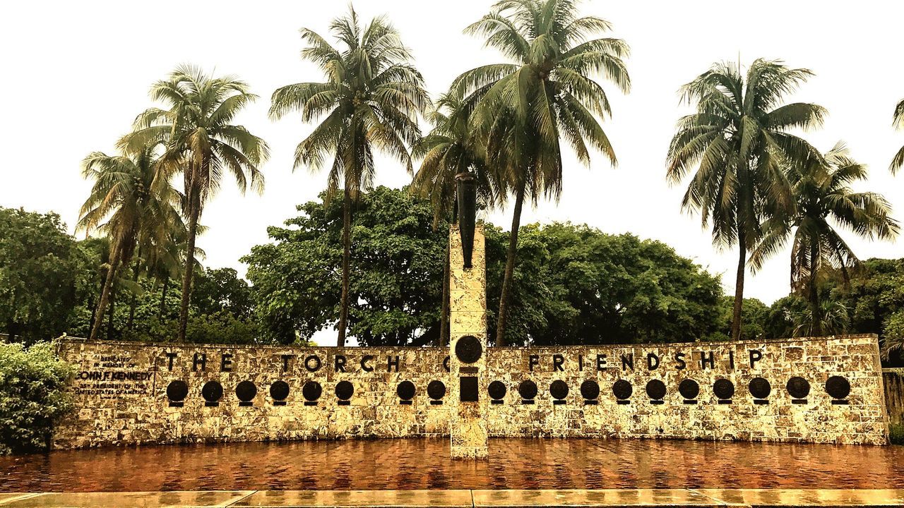 palm tree, tree, day, no people, tree trunk, outdoors, low angle view, built structure, water, nature, architecture, sky