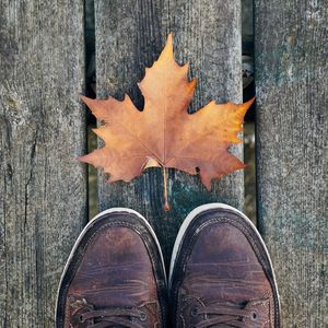 Low section of person standing by autumn leaf on wooden floor