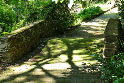 Close-up of tree shadow on grass