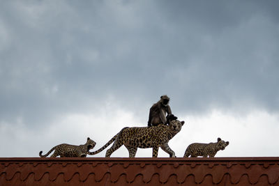 Low angle view of statue against sky