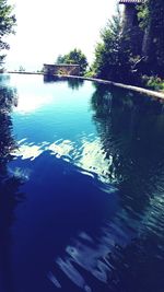 Reflection of trees in water