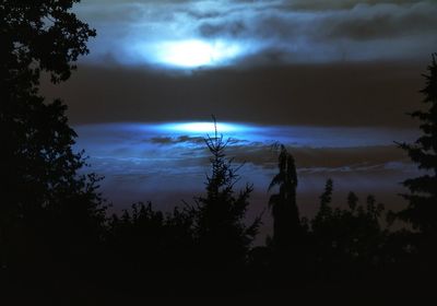 Silhouette of bare tree against cloudy sky