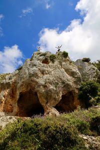 Low angle view of lizard on rock against sky