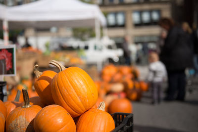 Close-up of pumpkins for sale, some days before halloween celebration, in a street market