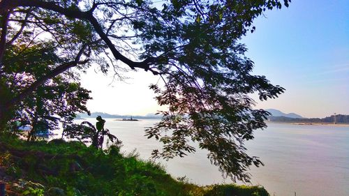 Scenic view of sea against clear sky