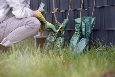 Rear view of woman standing on grass