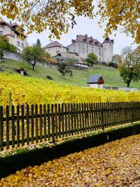 House by trees and buildings against sky during autumn