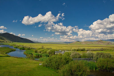 Scenic view of field against sky