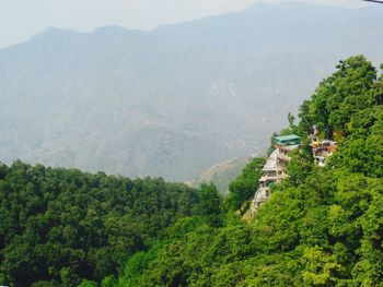 Scenic view of trees against mountain 