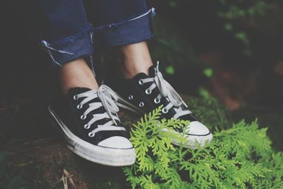 Low section of man wearing canvas shoes above plants