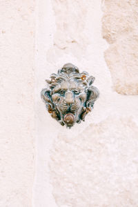 Close-up of insect on wall