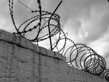 Low angle view of tree against sky