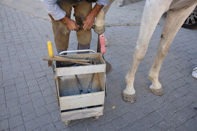 Midsection of man fixing horseshoe on horse leg