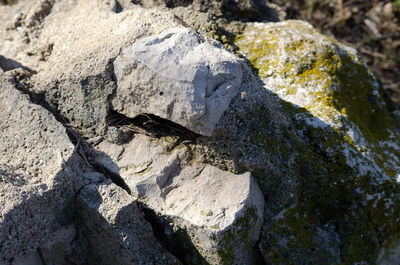 Close-up of rock