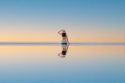 Crane on sea against clear sky during sunset