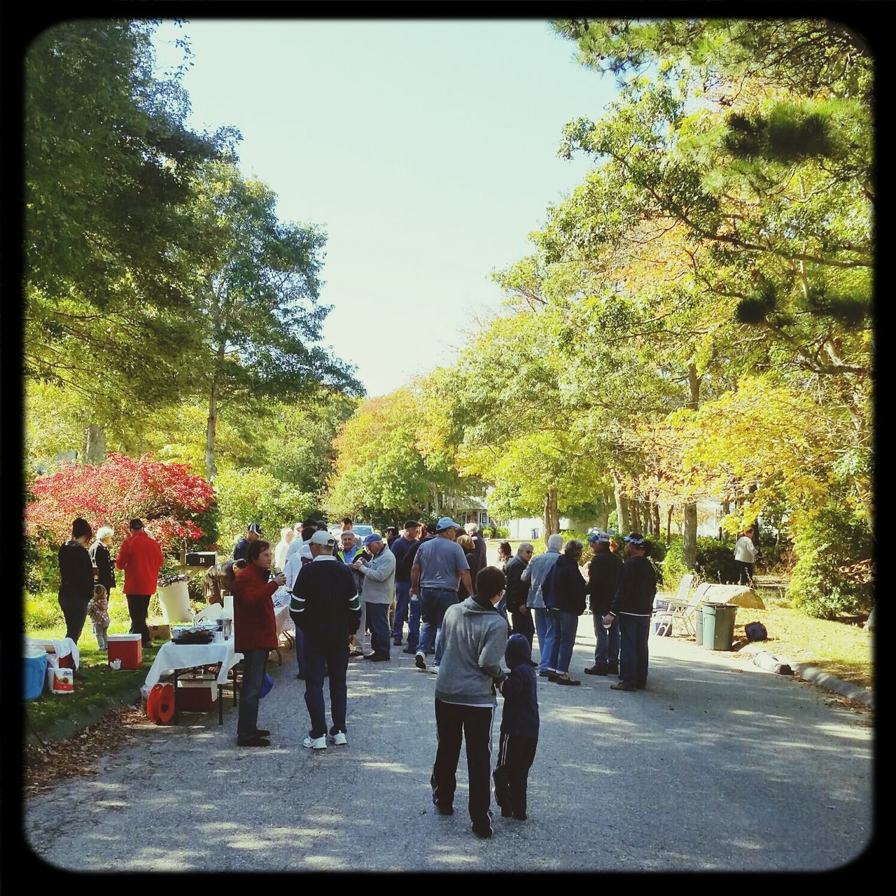 tree, transfer print, men, person, lifestyles, large group of people, walking, leisure activity, auto post production filter, growth, street, rear view, day, park - man made space, green color, full length, group of people, road, togetherness