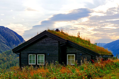 Fall colors around a turf roofed cabin in the mountains of norway 