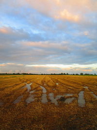 Scenic view of field against sky during sunset